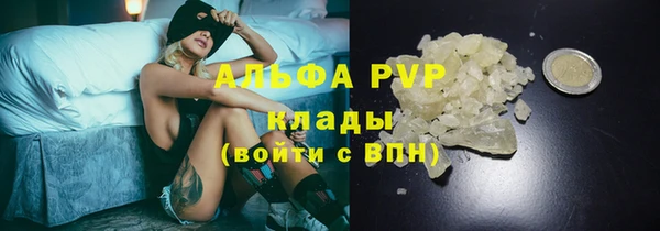 амф Инта