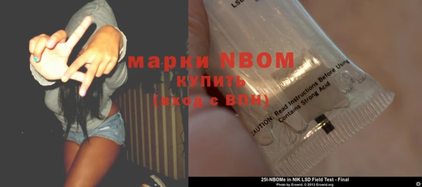 амф Инта