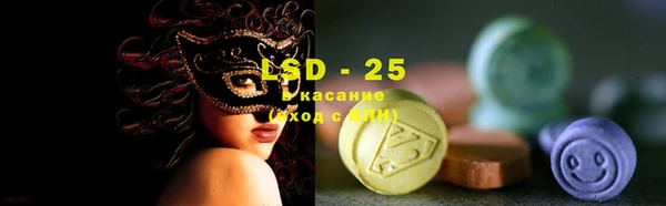 хмурый Инсар