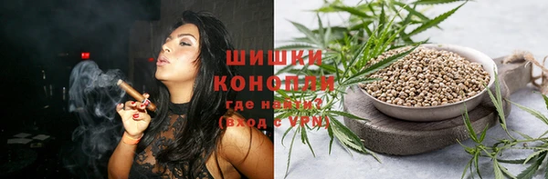 хмурый Инсар