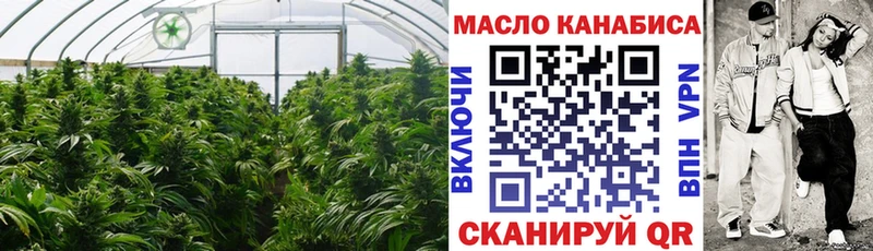 Купить закладки  Галич  ТГК гашишное масло 
