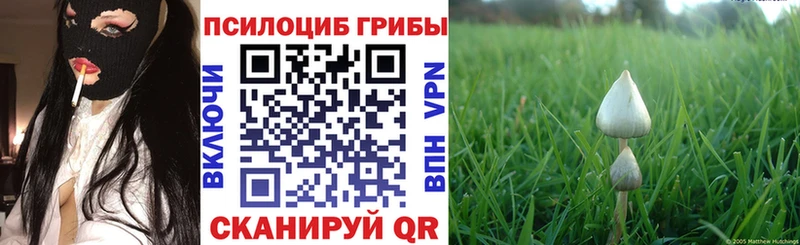 Галлюциногенные грибы Psilocybine cubensis  Купить где  Галич 